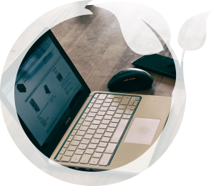 developpement de site web